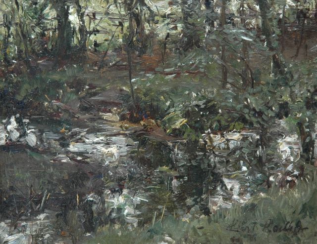 Albert Roelofs | Eenden in overwoekerde sloot, olieverf op paneel, 13,9 x 18,0 cm, gesigneerd r.o.