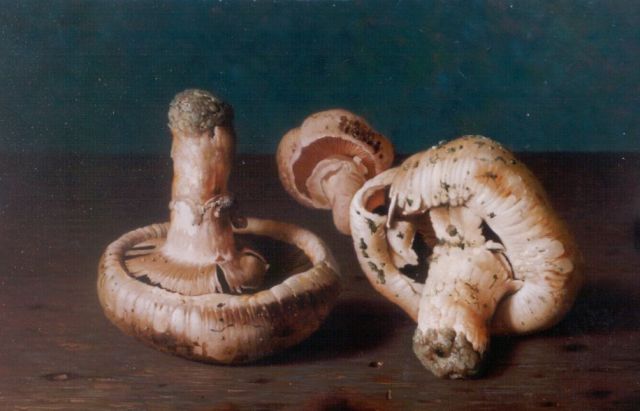 Andreas Gyula Bubarnik | Champignons op een stenen tafel, koper, 18,0 x 23,9 cm, gesigneerd r.o.