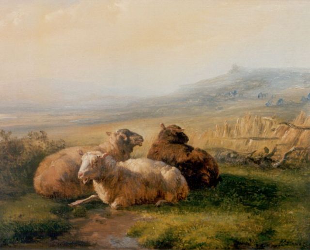 Hollandse School | Drie schaapjes in een weide, olieverf op paneel, 16,6 x 20,1 cm, gesigneerd r.o.vaag