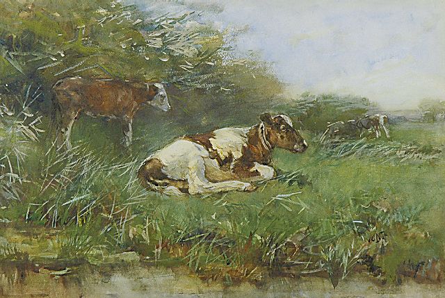 Willem van der Nat | Kalfjes in de wei, aquarel op papier, 33,3 x 49,6 cm, gesigneerd r.o.