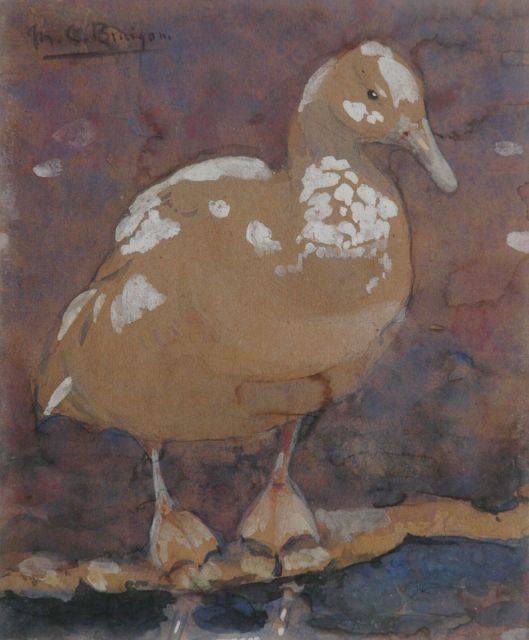 Greta Bruigom | Eend, aquarel op papier, 17,5 x 14,4 cm, gesigneerd l.b.