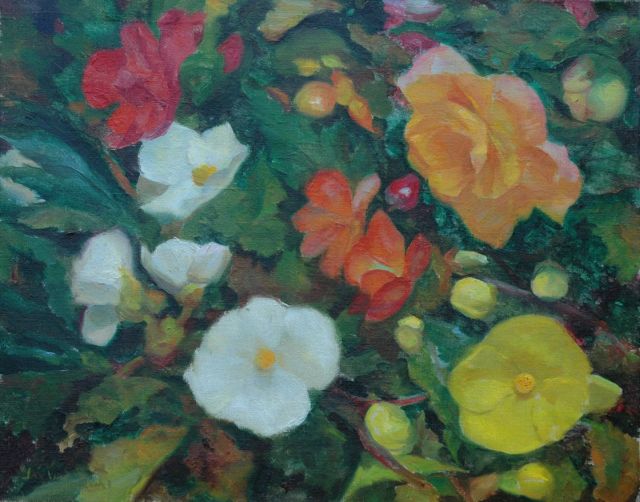 Visser J.  | Begonia's, olieverf op doek 40,2 x 50,1 cm, gesigneerd l.o.