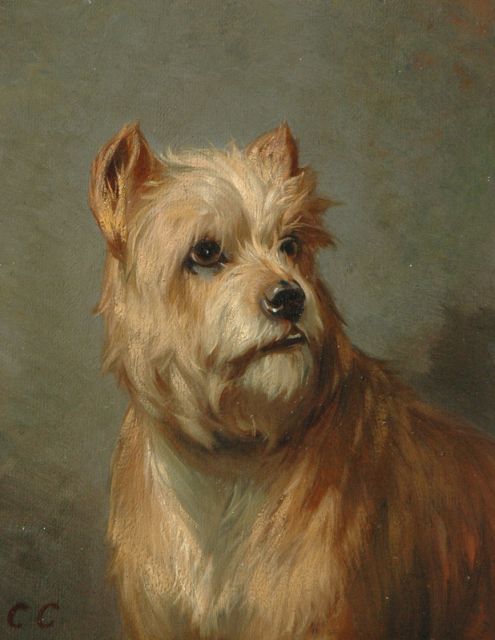 Conradijn Cunaeus | Portret van een schnauzer, olieverf op paneel, 19,0 x 14,7 cm, gesigneerd l.o. met initialen