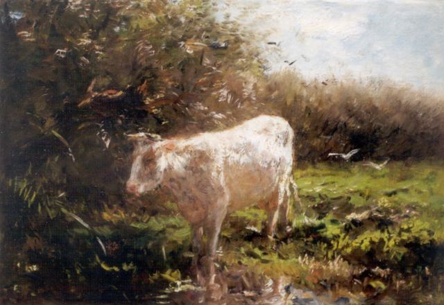 Willem Maris | Koe aan de slootkant, olieverf op doek, 45,3 x 60,4 cm, gesigneerd r.o.