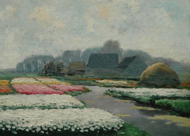 Willem Abraham Wassenaar | Boerderij met bollenvelden, olieverf op board, 22,0 x 30,1 cm, gesigneerd r.o.