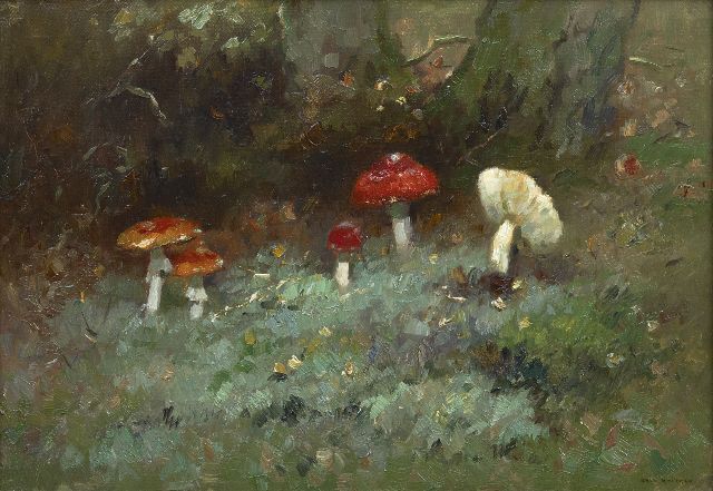 Aris Knikker | Paddenstoelen in het bos, olieverf op doek, 35,2 x 50,3 cm, gesigneerd r.o.