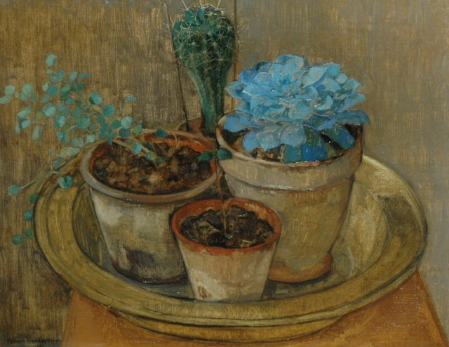 Herman Vreedenburgh | Stilleven met cactussen, olieverf op doek, 40,7 x 51,5 cm, gesigneerd l.o. en gedateerd 1922