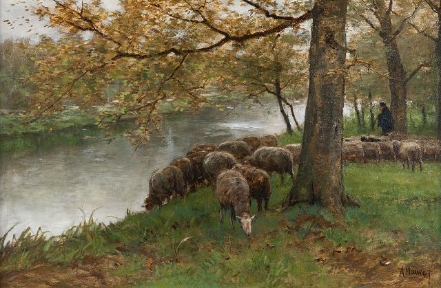 Anton Mauve | Drinkende schapen bij een rivier, olieverf op doek, 60,5 x 90,2 cm, gesigneerd r.o. en te dateren ca. 1877