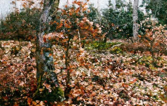 Jan Adam Zandleven | Herfstbos, olieverf op doek, 35,0 x 50,2 cm, gesigneerd l.o. en gedateerd 1906