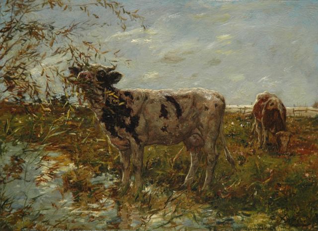 Kees Koppenol | Koeien aan de slootkant, olieverf op paneel, 23,7 x 32,4 cm, gesigneerd r.o.
