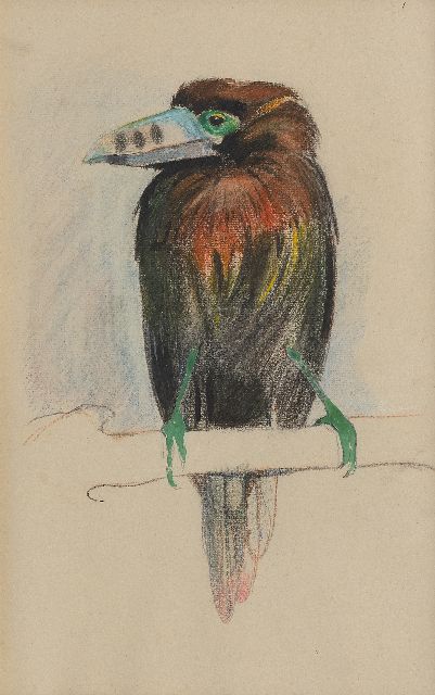Greta Bruigom | Toekan, krijt en aquarel op papier, 43,6 x 29,3 cm