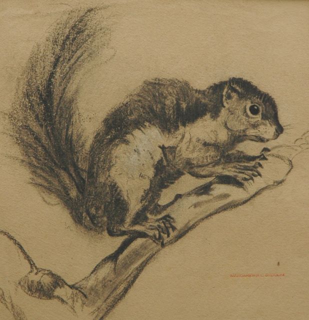 Greta Bruigom | Eekhoorn, zwart krijt op papier, 30,8 x 30,6 cm, gesigneerd r.o. met naamstempel