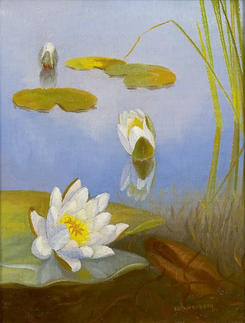 Smorenberg D.  | Waterlelies, olieverf op doek 32,2 x 25,2 cm, gesigneerd r.o.