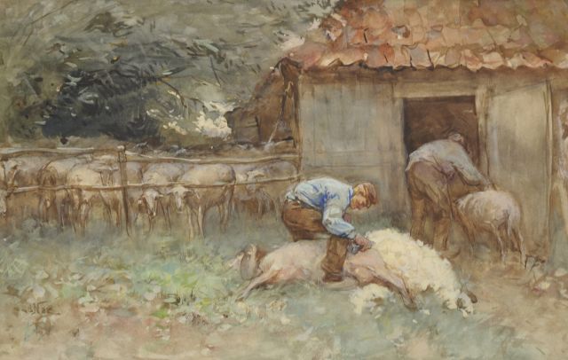 Willem van der Nat | Schapen scheren, aquarel op papier, 34,4 x 52,6 cm, gesigneerd l.o.