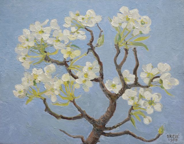 Johan Briedé | Perenbloesem, olieverf op board, 25,1 x 31,8 cm, gesigneerd r.o. en gedateerd 1958