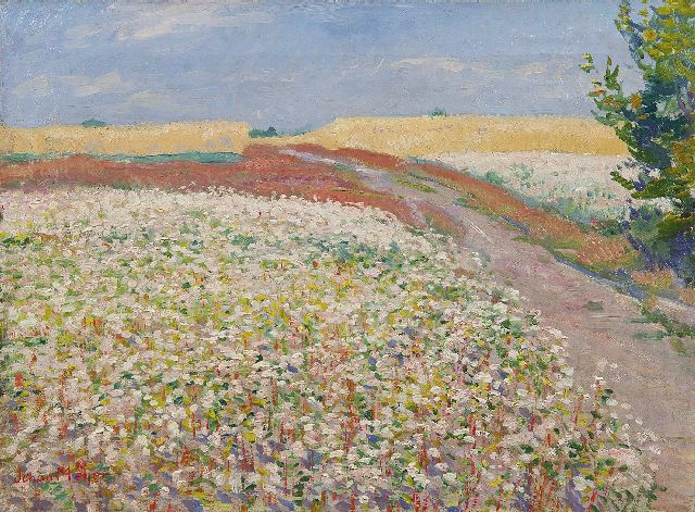 Johan Meijer | Boekweitveld bij Blaricum, olieverf op doek, 28,2 x 38,4 cm, gesigneerd l.o.