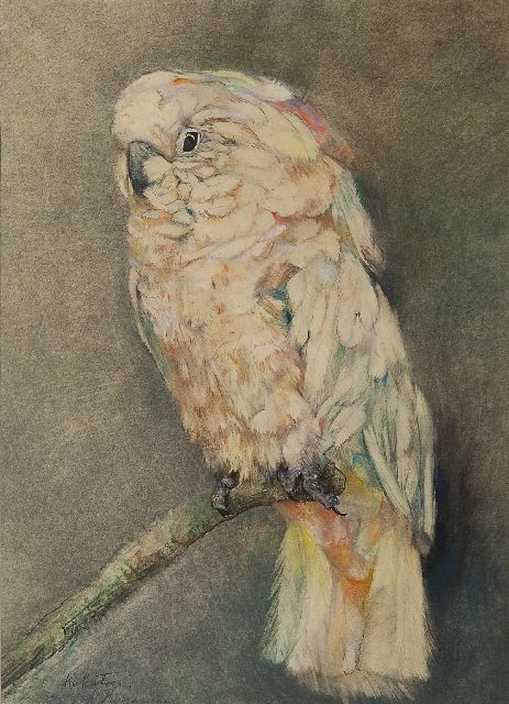 Johanna Pieneman | Kaketoe, pastel op papier, 47,2 x 34,3 cm, gesigneerd l.o.
