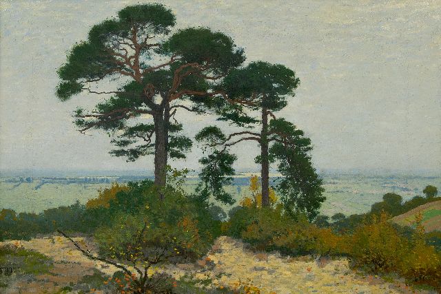 Derk Wiggers | De Ooijpolder met vliegdennen, olieverf op doek, 51,3 x 73,3 cm, gesigneerd l.o.