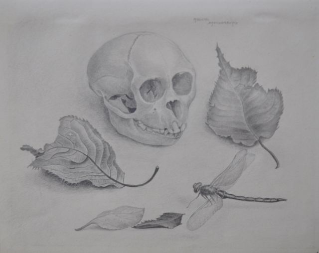 Machiel Brandenburg | Apenschedeltje, potlood op papier, 19,9 x 25,0 cm, gesigneerd r.b. en verso gedateerd 1945