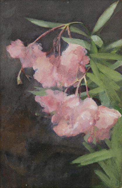 Marie Heineken | Oleandertak, aquarel op papier, 45,6 x 30,2 cm