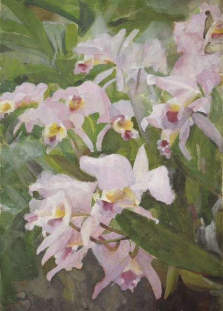 Marie Heineken | Orchideeën, aquarel op papier, 50,6 x 35,5 cm