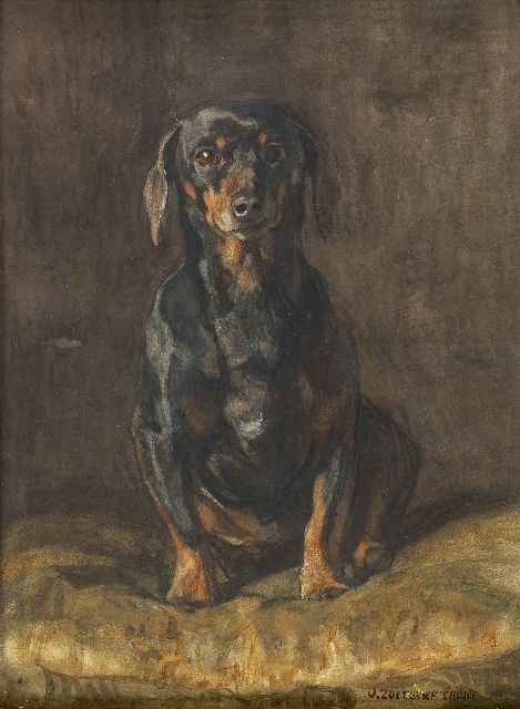Jan Zoetelief Tromp | Teckel, aquarel op papier, 52,5 x 38,5 cm, gesigneerd r.o.