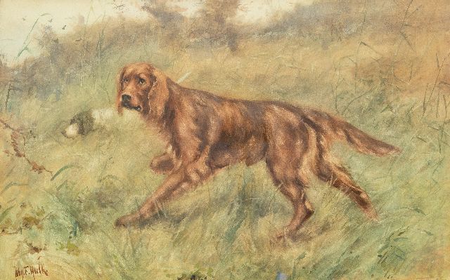 John Hulk jr. | Ierse setter, aquarel op papier, 40,0 x 63,5 cm, gesigneerd l.o.