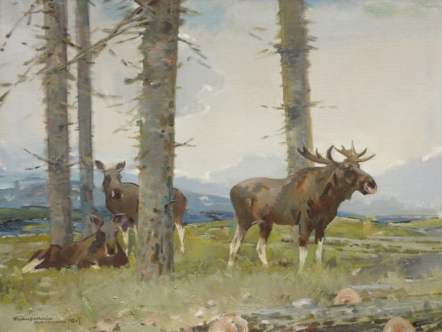 Piet van der Hem | Elanden bij Alkvettern, Zweden, olieverf op doek, 60,5 x 80,5 cm, gesigneerd l.o.