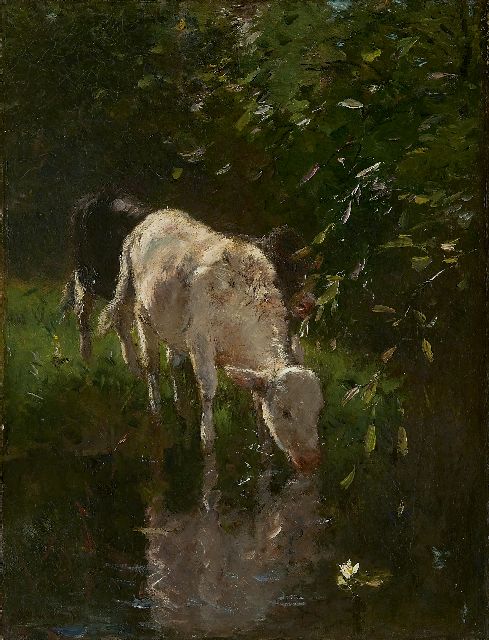 Willem Maris | Drinkend wit kalfje, olieverf op doek, 52,2 x 40,4 cm, gesigneerd l.o.
