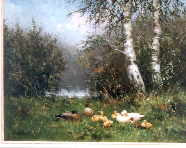 Constant Artz | Eendenfamilie bij het struikgewas, olieverf op paneel, 41,0 x 51,0 cm, gesigneerd l.o.
