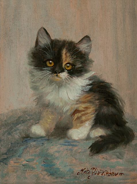 Meta Plückebaum | Senta, het gelukskatje, olieverf op paneel, 23,9 x 18,2 cm, gesigneerd r.o.