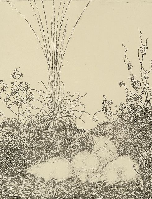 Jan Mankes | Vier muizen, ets op papier, 19,5 x 14,5 cm, te dateren 1916