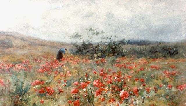 Jan Hillebrand Wijsmuller | Veld met klaprozen, aquarel op papier, 31,5 x 51,5 cm