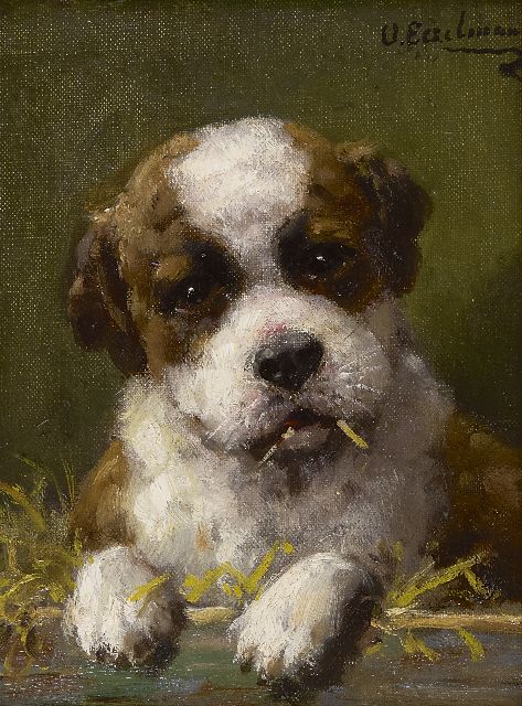 Otto Eerelman | Sint-Bernardpup, olieverf op schildersboard, 23,8 x 18,8 cm, gesigneerd r.b.