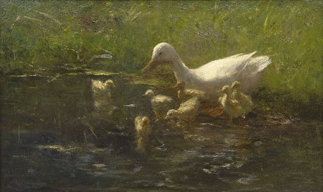 Willem Maris | Moedereend met kuikens, olieverf op doek, 55,3 x 90,3 cm, gesigneerd l.o.