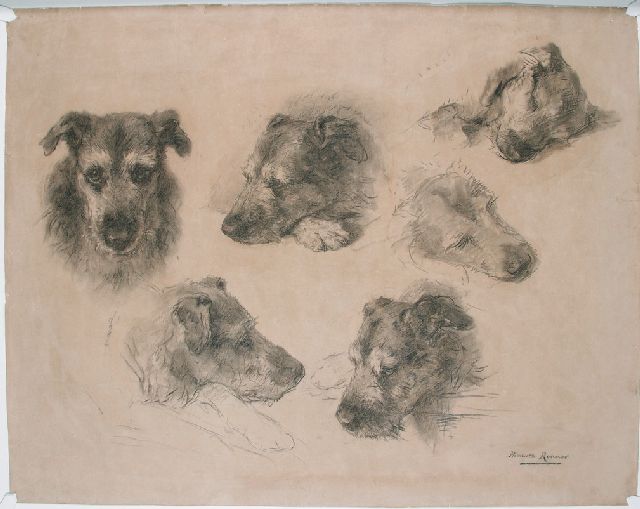 Henriette Ronner-Knip | Studies van een hond, houtskool op papier, 76,4 x 96,3 cm, gesigneerd r.o.
