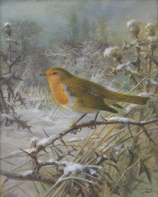 Johannes Gerardus Keulemans | Roodborstje in sneeuwlandschap, gouache op papier, 21,5 x 17,0 cm, gesigneerd r.o.