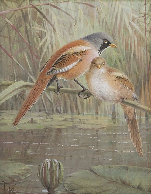 Johannes Gerardus Keulemans | Baardmannetjes op een rietstengel, gouache op papier, 20,0 x 15,5 cm, gesigneerd l.o. met monogram