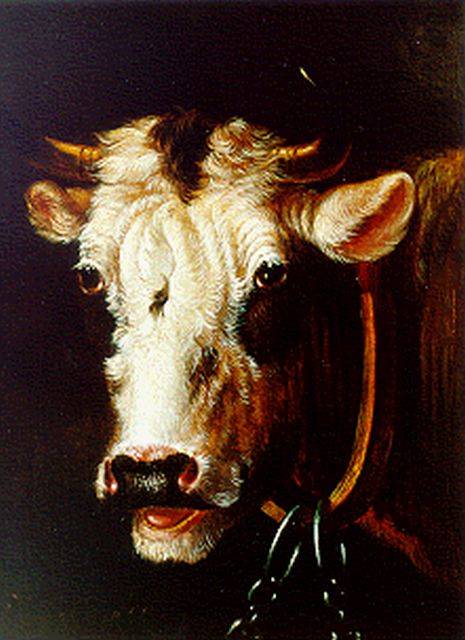 Albertus Verhoesen | Koeiekop, olieverf op paneel, 16,7 x 14,0 cm, gesigneerd l.o.