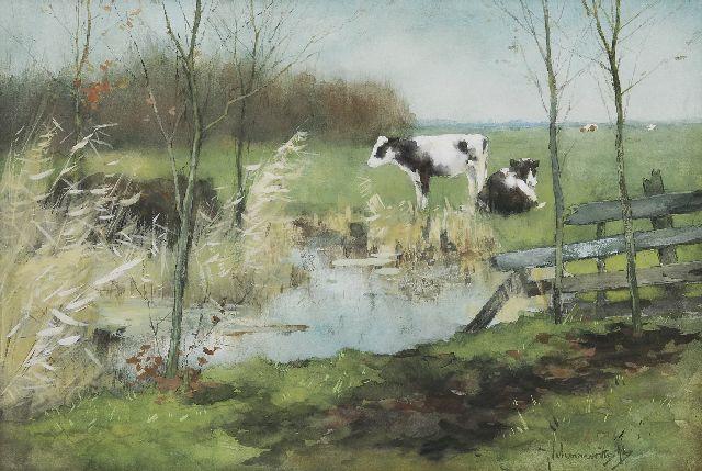 Johan Frederik Cornelis Scherrewitz | Twee kalveren in de wei, aquarel op papier, 30,1 x 44,3 cm, gesigneerd r.o.