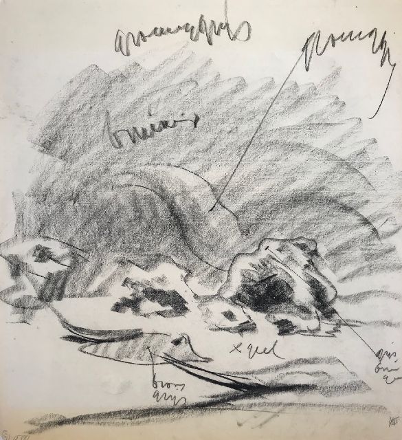 Dijsselhof G.W.  | Aquariumstudie, houtskool op papier 37,5 x 34,5 cm, gesigneerd r.o. met monogram