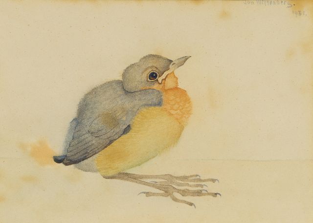 Jan Wittenberg | Jonge merel, aquarel op papier, 13,0 x 18,0 cm, gesigneerd r.b. en gedateerd 1931