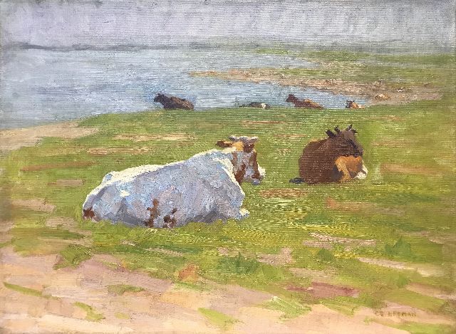 Co Breman | Vee in de wei (aan de IJssel), olieverf op doek, 28,2 x 38,4 cm, gesigneerd r.o.