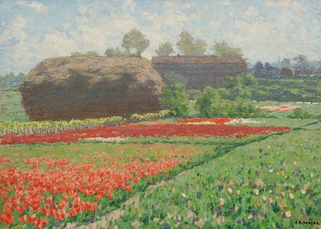 Anton Koster | Late tulpen en riethoop bij Bennebroek, olieverf op doek, 50,6 x 70,5 cm, gesigneerd r.o.