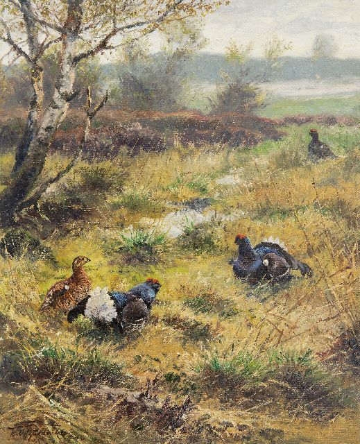 Wilhelm Buddenberg | Korhoenders op de hei, olieverf op doek, 50,1 x 40,0 cm, gesigneerd l.o.