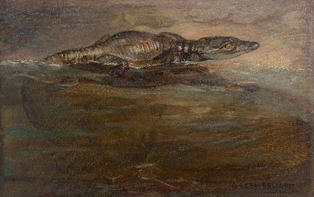 Greta Bruigom | Jonge Nijlkrokodil, olieverf op doek, 26,4 x 41,5 cm, gesigneerd r.o.