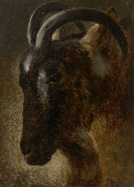 Jacques Janssens | Ramskop, olieverf op paneel, 22,2 x 16,2 cm, gesigneerd r.o.