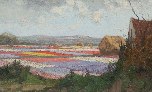 Willem Noordijk | Bollenvelden achter de duinen, olieverf op doek, 30,7 x 50,2 cm, gesigneerd r.o.