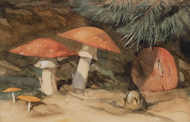Adriaan van 't Hoff | Vliegenzwammen, aquarel op papier, 35,8 x 59,2 cm, gesigneerd r.o. en gedateerd 1923, zonder lijst