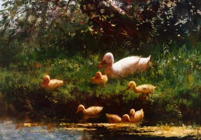 Constant Artz | Witte moedereend met 6 jongen, olieverf op paneel, 17,5 x 23,5 cm, gesigneerd l.o.